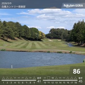 ウッド系、何をバッグに入れるべきか問題